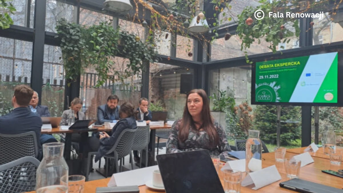 Expert debate on REPowerEU, 29 November 2022